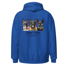 Load image into Gallery viewer, Lacey's Fund Unisex Hoodie