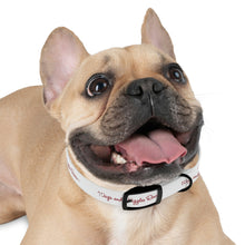 Load image into Gallery viewer, Wags & Wiggles Dog Collar