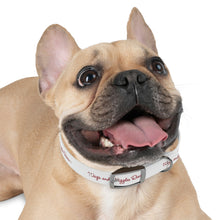 Load image into Gallery viewer, Wags & Wiggles Dog Collar