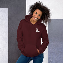 Load image into Gallery viewer, Hanover Footlighters Unisex Hoodie